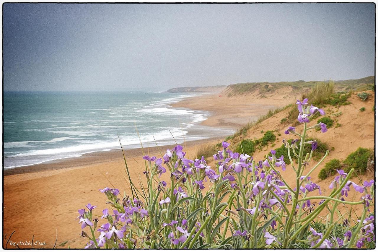 La Calypsette - Face Grande Plage Des Sables D'Olonne Les Sables-dʼOlonne Esterno foto